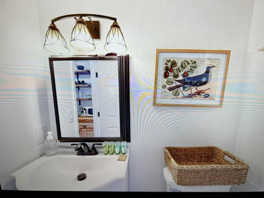 New Modern Boho Apt- Close To Yosemite Oakhurst Dış mekan fotoğraf